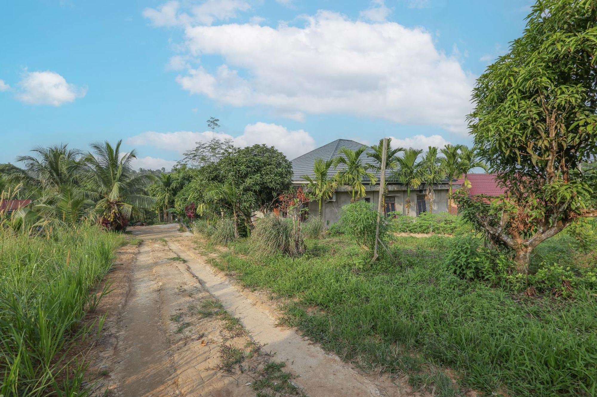 Oyo 92587 Homestay Romauli Kampung Radja Jambi Exterior foto